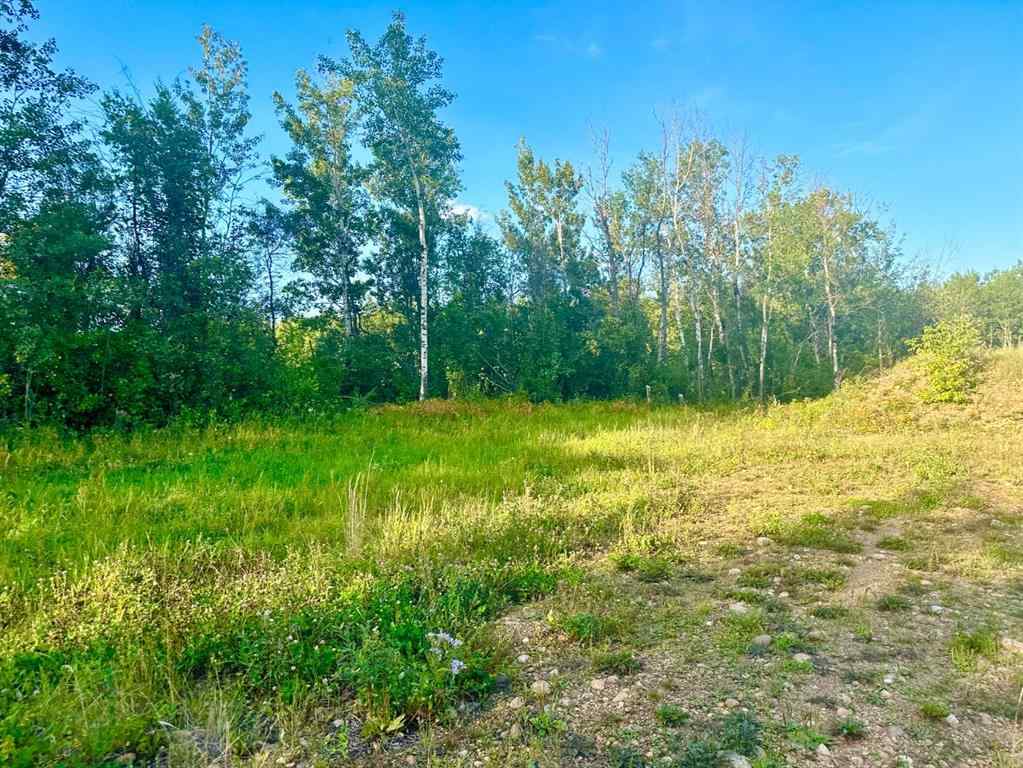 MLS® A2254770 - Unit #121 67417 McGrane Road   in Lac La Biche Lac La Biche, Land