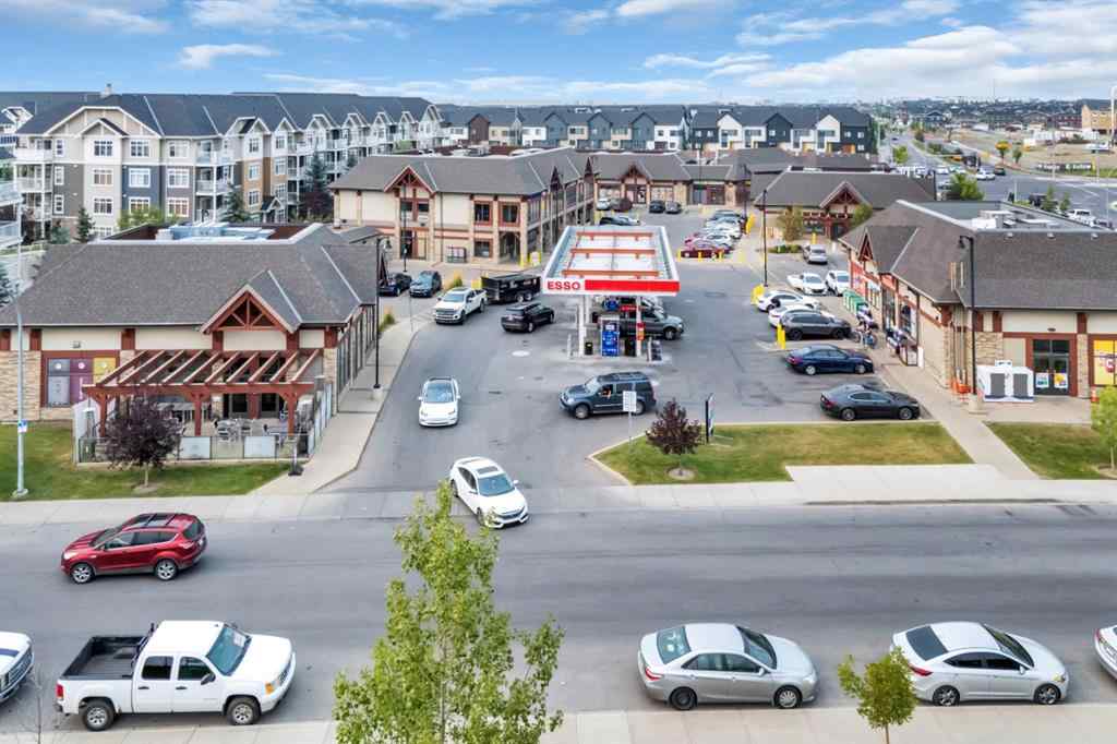 MLS® A2254796 - 66 Skyview Shores Terrace NE in Skyview Ranch Calgary, Residential