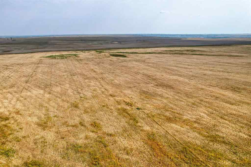 MLS® A2254817 - In Special Area 2   in NONE Rural Special Areas No. 2, Agri-Business