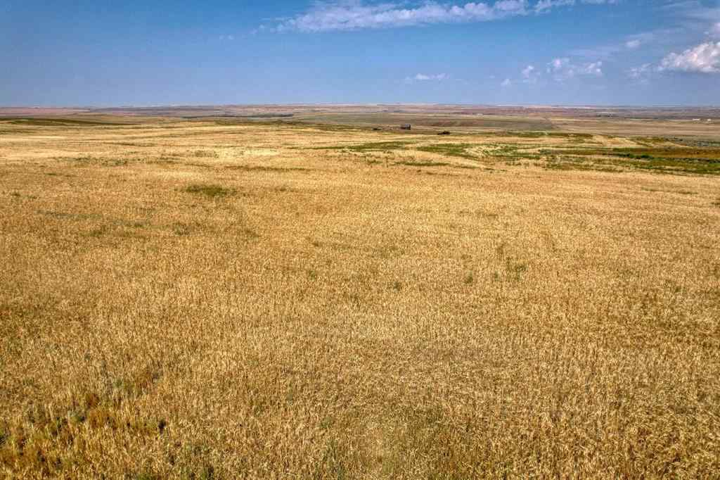 MLS® A2254817 - In Special Area 2   in NONE Rural Special Areas No. 2, Agri-Business