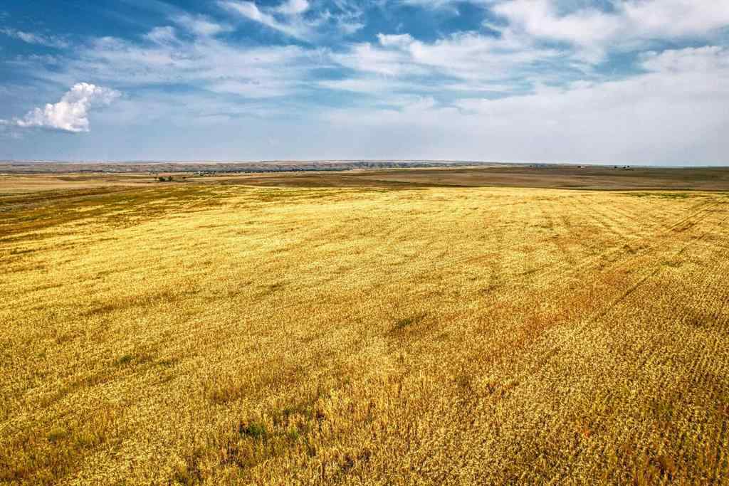 MLS® A2254817 - In Special Area 2   in NONE Rural Special Areas No. 2, Agri-Business