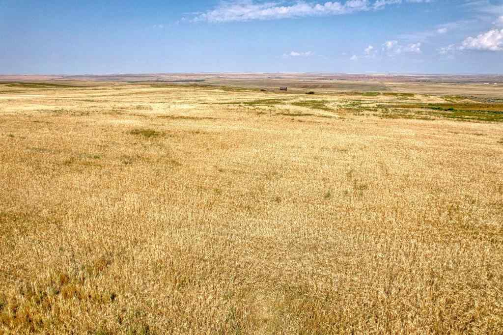 MLS® A2254817 - In Special Area 2   in NONE Rural Special Areas No. 2, Agri-Business