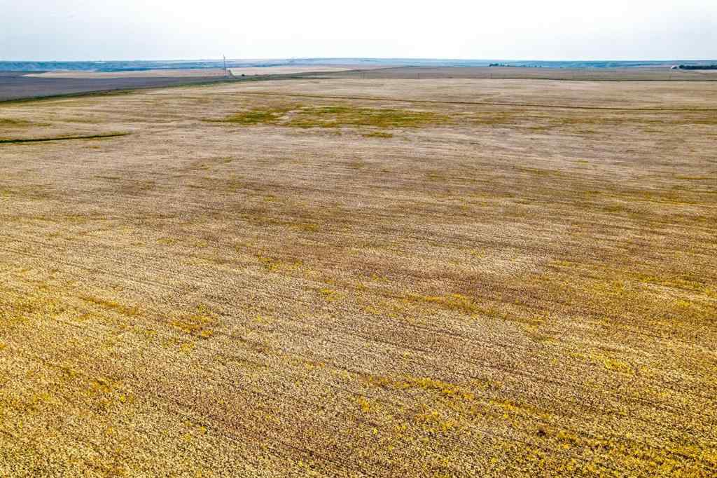 MLS® A2254817 - In Special Area 2   in NONE Rural Special Areas No. 2, Agri-Business