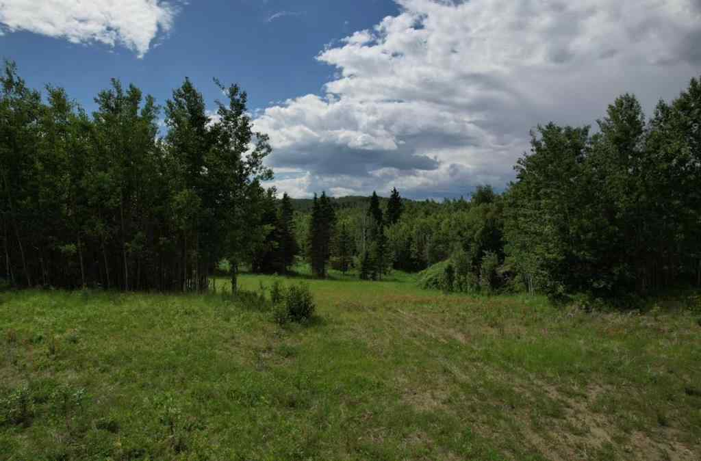 MLS® A2254939 - 19 Mountain Springs   in NONE Rural Woodlands County, Land