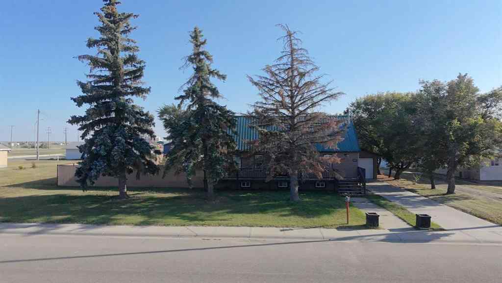 MLS® A2254959 - 113 2 Avenue  in NONE Vauxhall, Residential