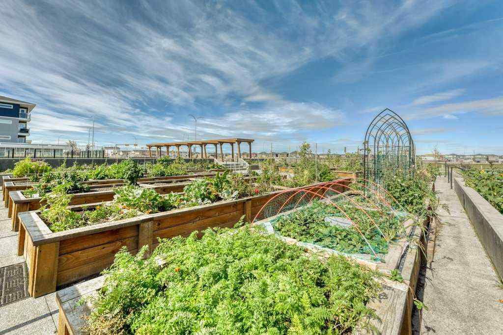 MLS® A2254975 - Unit #1321 76 Cornerstone Passage NE in Cornerstone Calgary, Residential