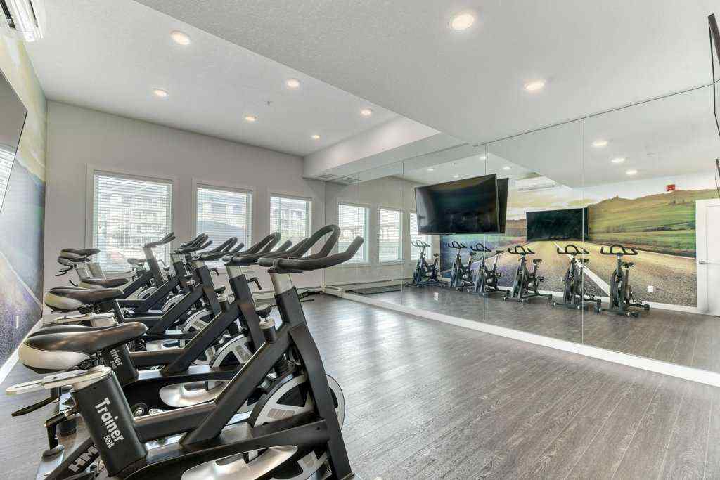 MLS® A2254975 - Unit #1321 76 Cornerstone Passage NE in Cornerstone Calgary, Residential