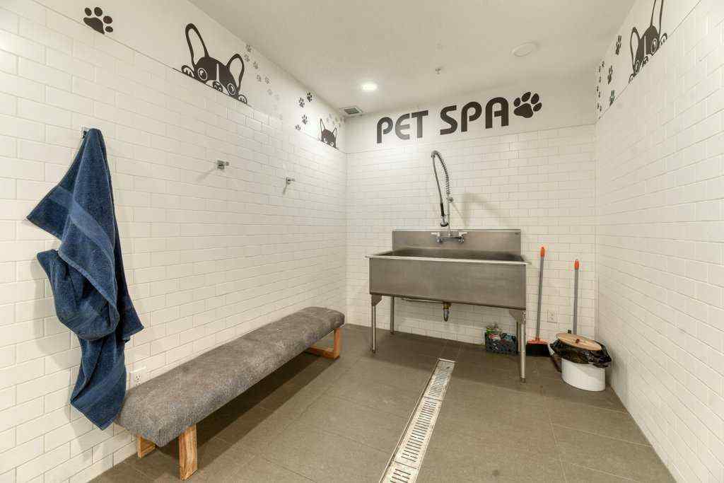 MLS® A2254975 - Unit #1321 76 Cornerstone Passage NE in Cornerstone Calgary, Residential