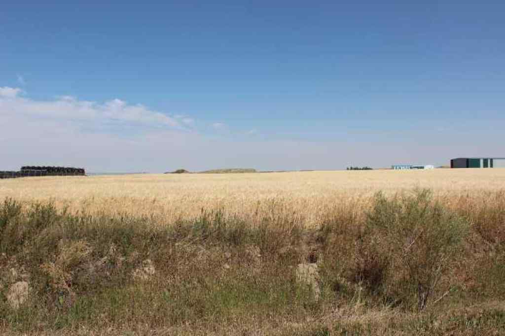 MLS® A2255189 - 1110 1 Avenue E in NONE Bow Island, Land