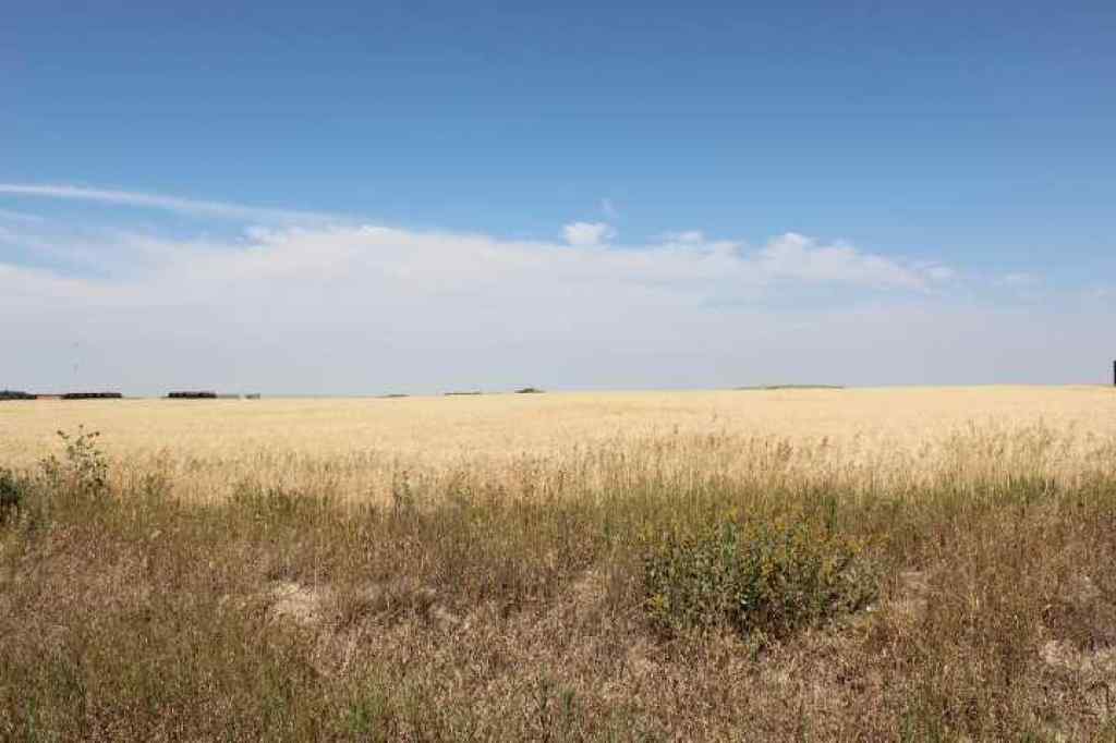 MLS® A2255189 - 1110 1 Avenue E in NONE Bow Island, Land