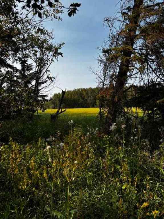 MLS® A2255191 -  460021 RGE RD 241   in NONE Rural Wetaskiwin No. 10, County of, Land