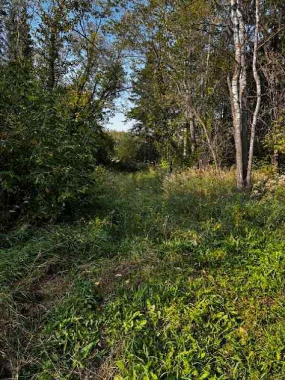 MLS® A2255191 -  460021 RGE RD 241   in NONE Rural Wetaskiwin No. 10, County of, Land