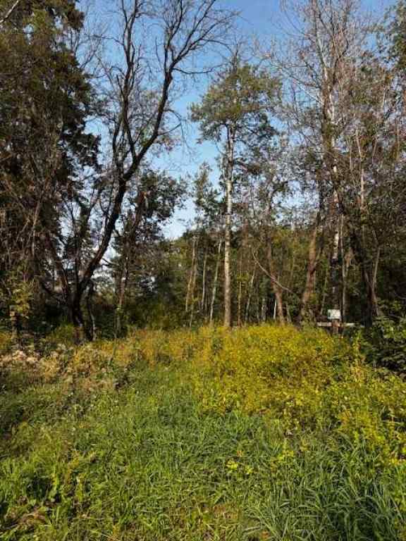 MLS® A2255191 -  460021 RGE RD 241   in NONE Rural Wetaskiwin No. 10, County of, Land