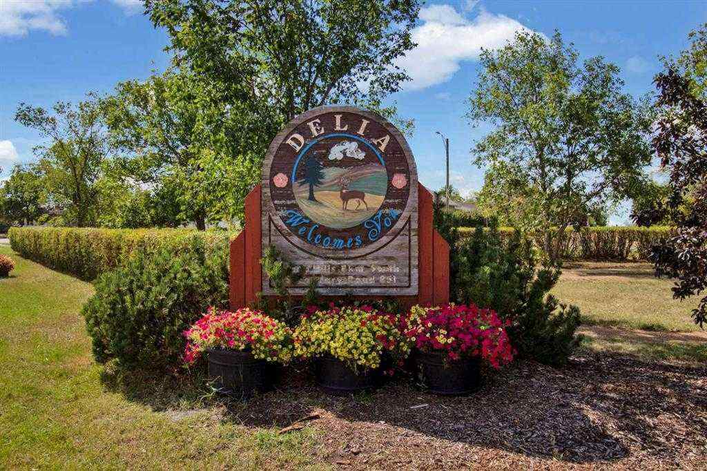 MLS® A2255202 - 113 2nd Avenue E in NONE Delia, Residential