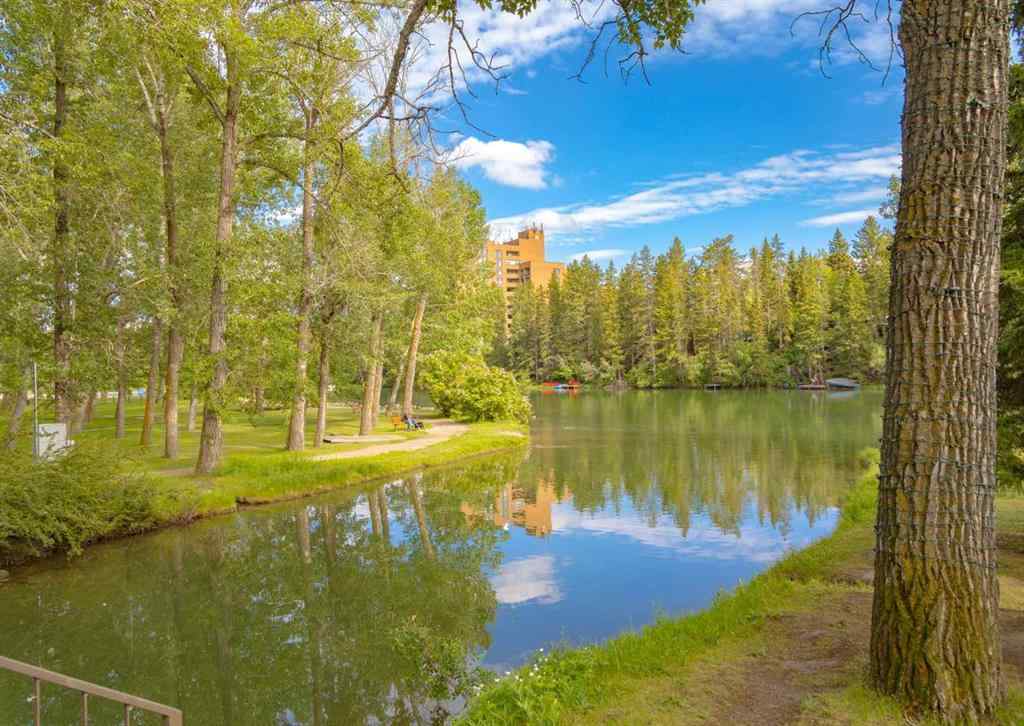MLS® A2255215 - Unit #308 8604 48 Avenue NW in Bowness Calgary, Residential