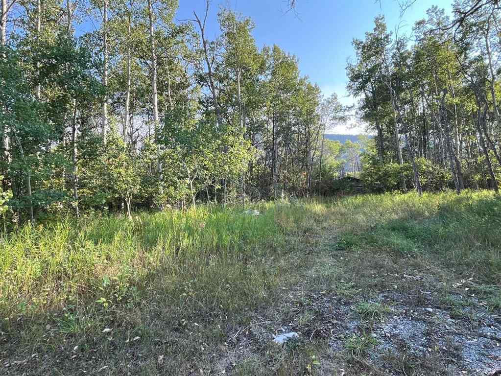 MLS® A2255382 - 3015 TWP RD 7-2   in NONE Pincher Creek, Residential