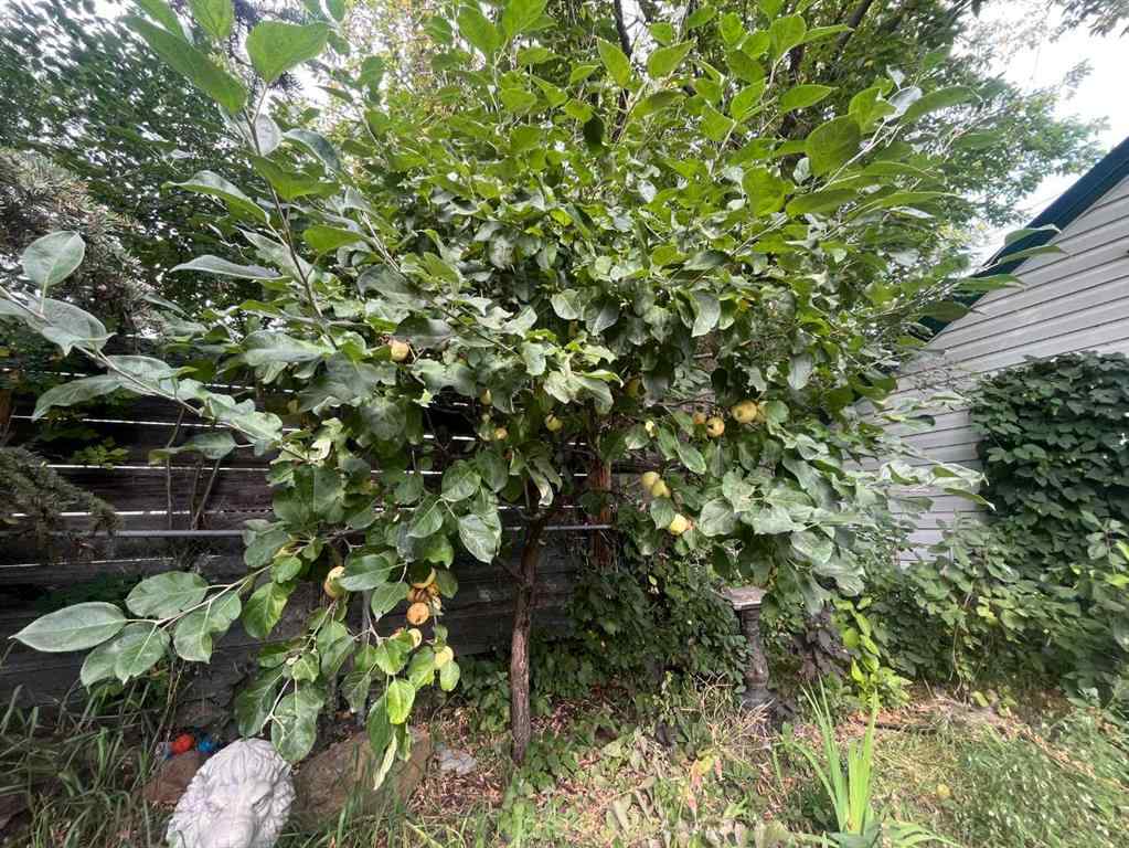 MLS® A2255426 - 112 Allison Street  in NONE Acme, Residential