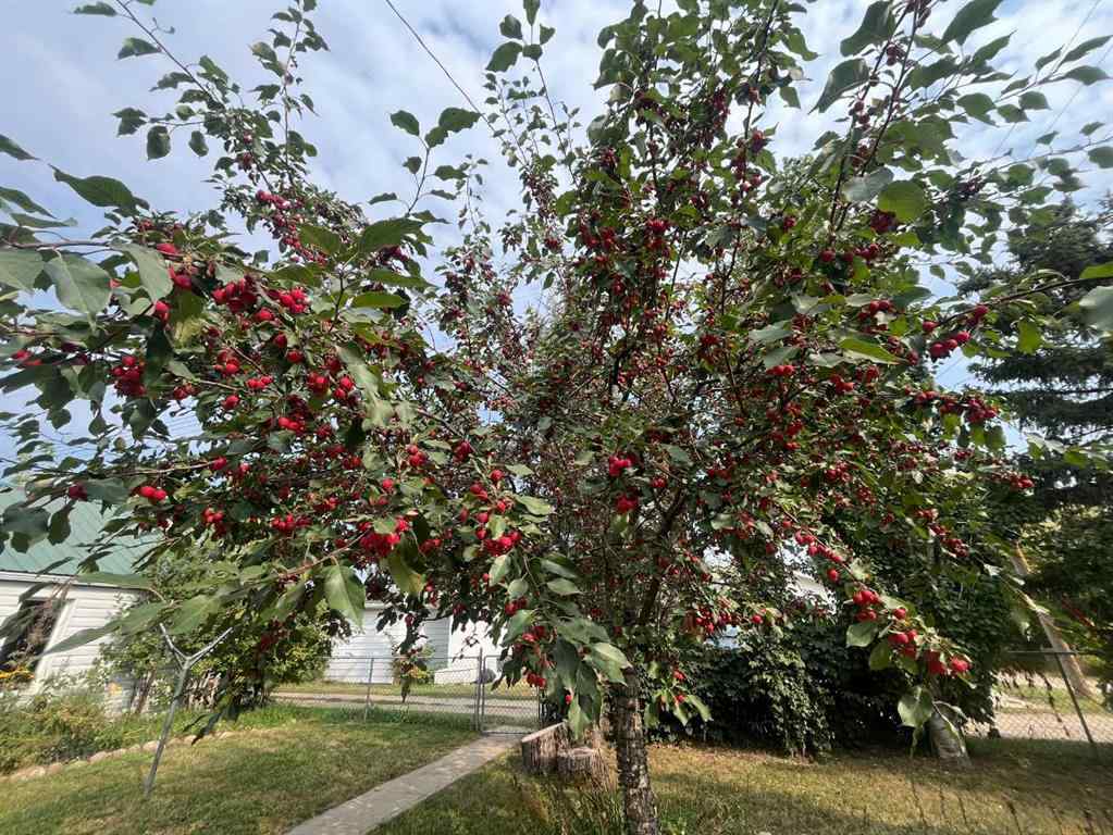 MLS® A2255426 - 112 Allison Street  in NONE Acme, Residential