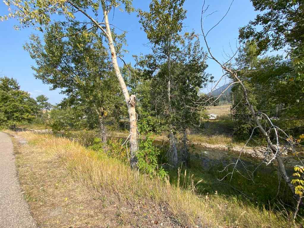 MLS® A2255476 - 2131 (Unit 1) 128 Street  in NONE Blairmore, Land