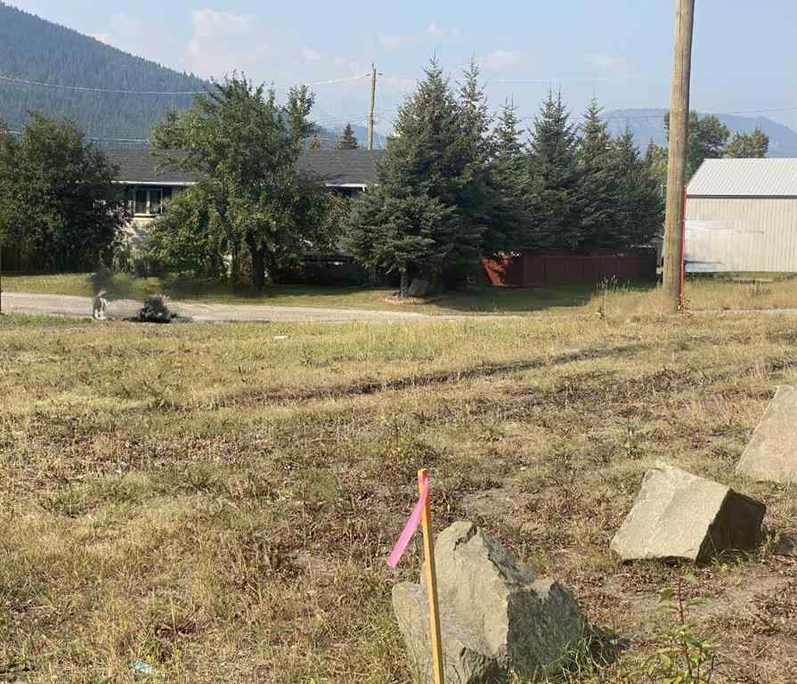MLS® A2255476 - 2131 (Unit 1) 128 Street  in NONE Blairmore, Land