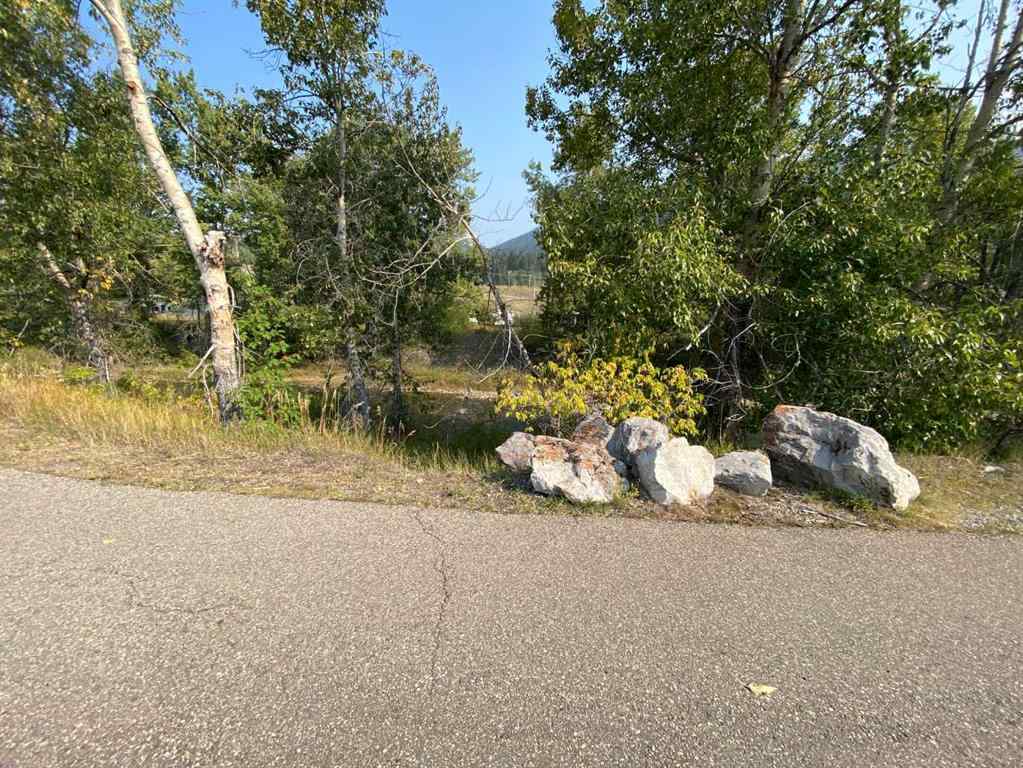 MLS® A2255476 - 2131 (Unit 1) 128 Street  in NONE Blairmore, Land