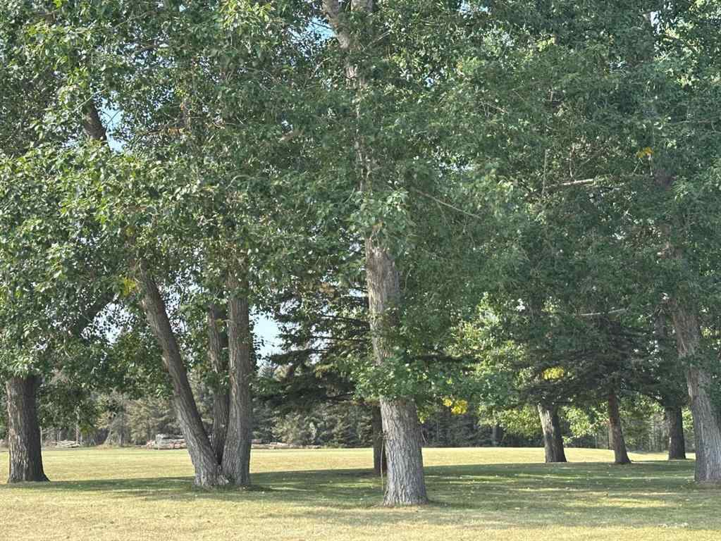 MLS® A2255481 - 45 Timber Trail  in NONE Rural Mountain View County, Land