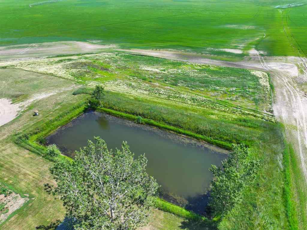 MLS® A2255488 - 122057 Rge Rd 200   in NONE Rural Lethbridge County, Agri-Business