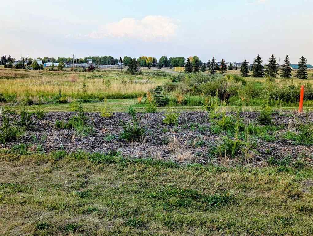 MLS® A2255507 - 1024 Carriage Lane Drive  in NONE Carstairs, Residential