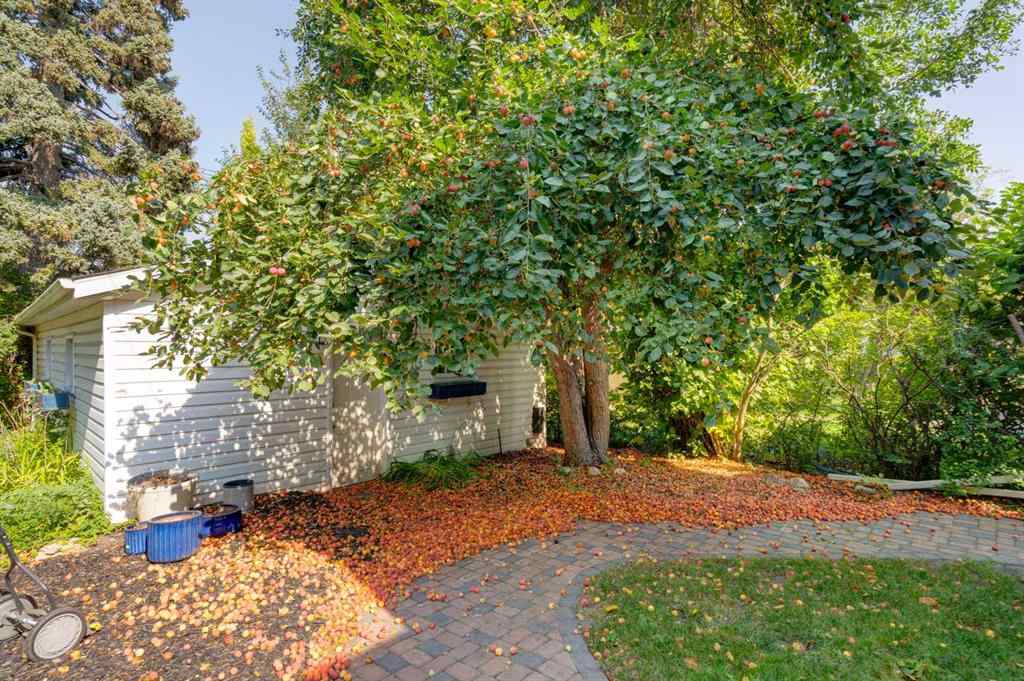 MLS® A2255585 - 1332 Frontenac Avenue SW in Upper Mount Royal Calgary, Residential