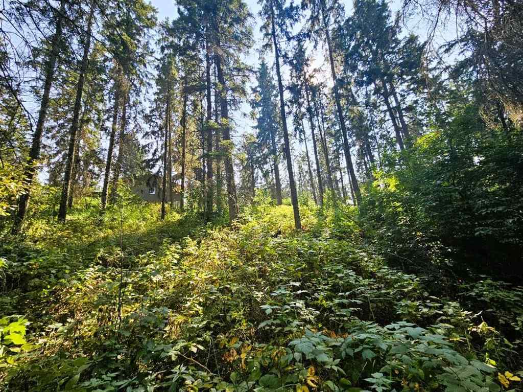 MLS® A2255733 - Unit #8 262065 Twp RD 422   in Pleasant Hill Rural Ponoka County, Residential