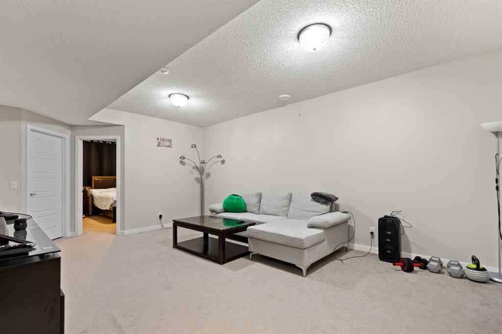 MLS® A2255812 - 14 Red Embers Crescent NE in Redstone Calgary, Residential