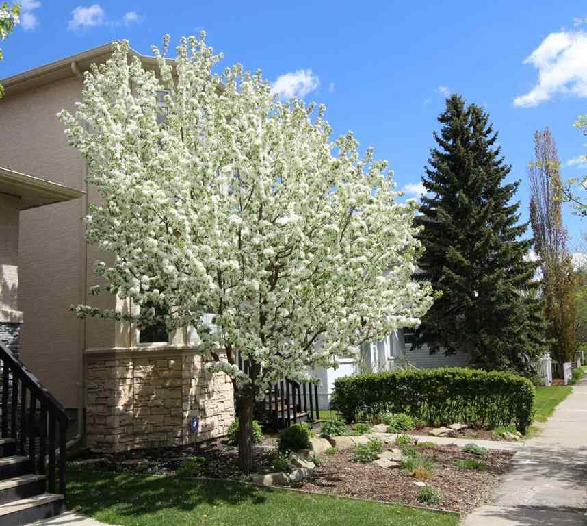 MLS® A2255817 - 608 12 Avenue NE in Renfrew Calgary, Residential