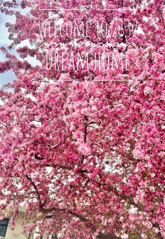 MLS® A2255822 - 2332 Uxbridge Drive NW in University Heights Calgary, Residential