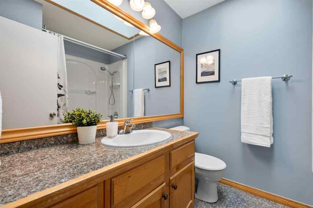MLS® A2255843 - 489 Lake Ontario Place SE in Lake Bonavista Calgary, Residential