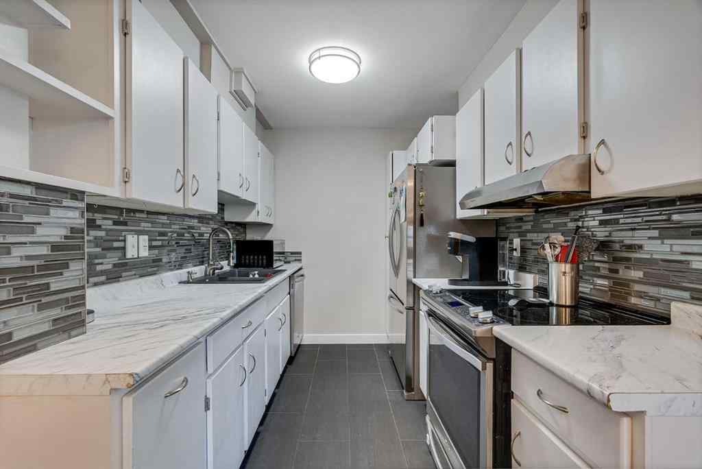 MLS® A2255870 - Unit #302 544 Blackhorn Road NE in Thorncliffe Calgary, Residential