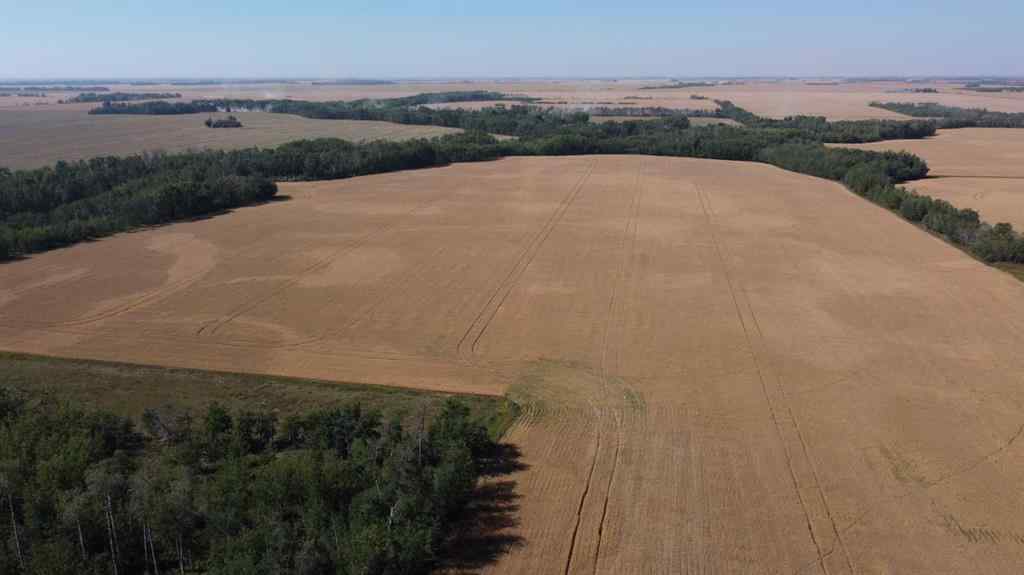 MLS® A2255873 -  805028   in NONE Rural Fairview No. 136, M.D. of, Agri-Business