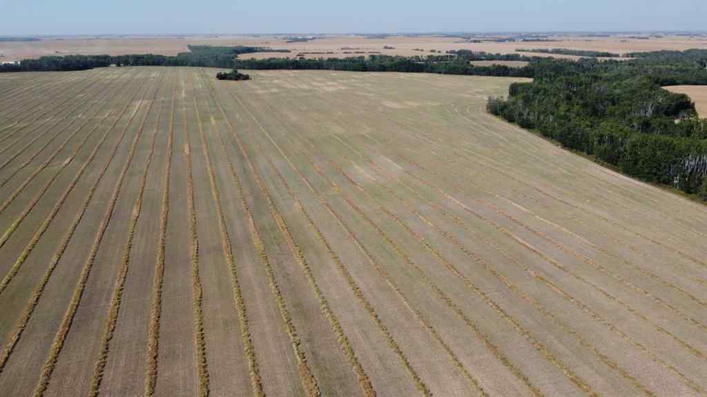 MLS® A2255873 -  805028   in NONE Rural Fairview No. 136, M.D. of, Agri-Business
