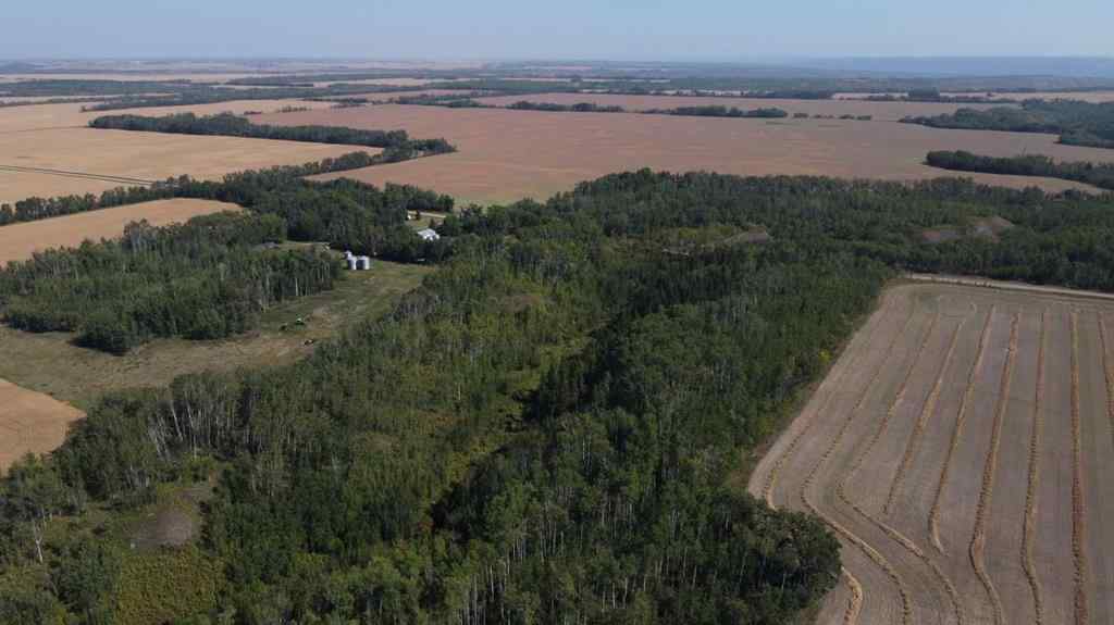 MLS® A2255873 -  805028   in NONE Rural Fairview No. 136, M.D. of, Agri-Business