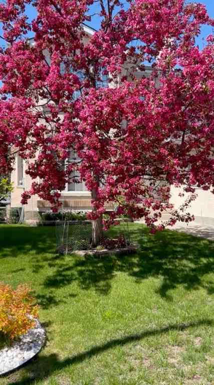 MLS® A2256011 - 102 Hampstead Close NW in Hamptons Calgary, Residential