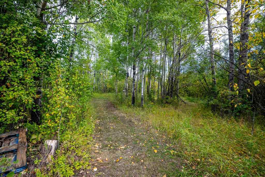 MLS® A2256039 -  SE-6-71-24-5   in NONE Rural Greenview No. 16, M.D. of, Land