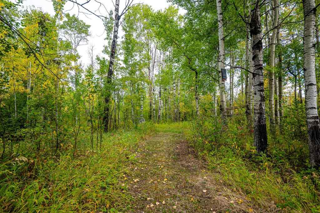 MLS® A2256039 -  SE-6-71-24-5   in NONE Rural Greenview No. 16, M.D. of, Land