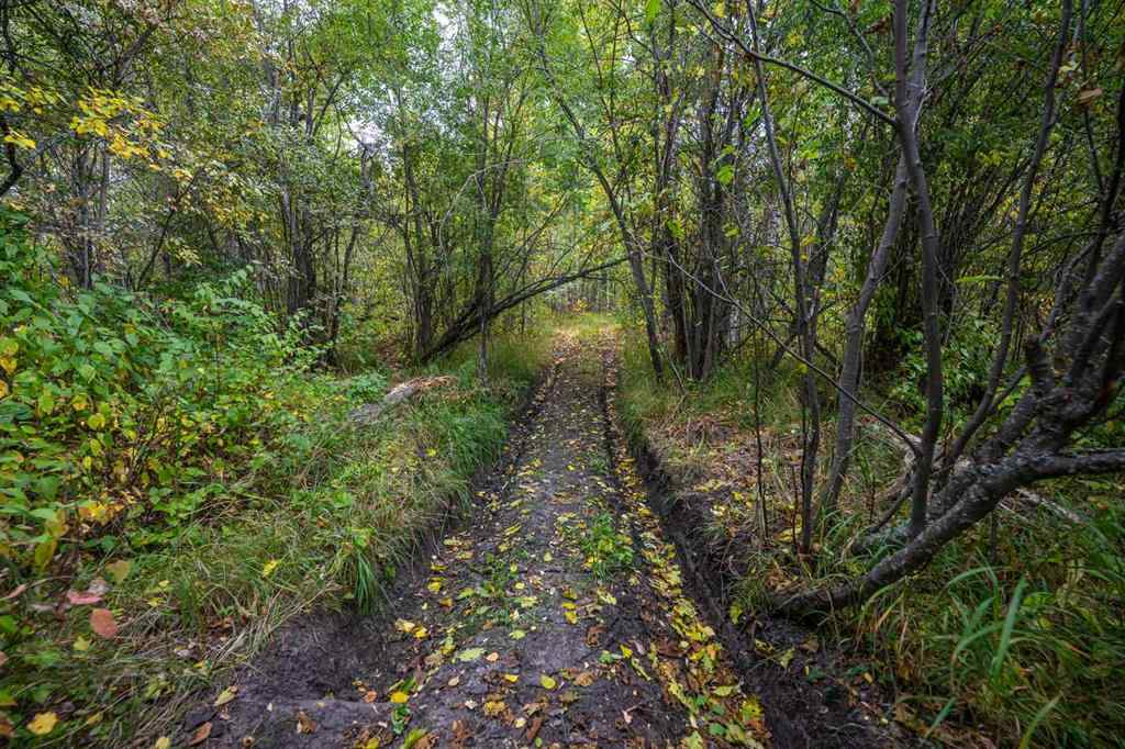 MLS® A2256039 -  SE-6-71-24-5   in NONE Rural Greenview No. 16, M.D. of, Land