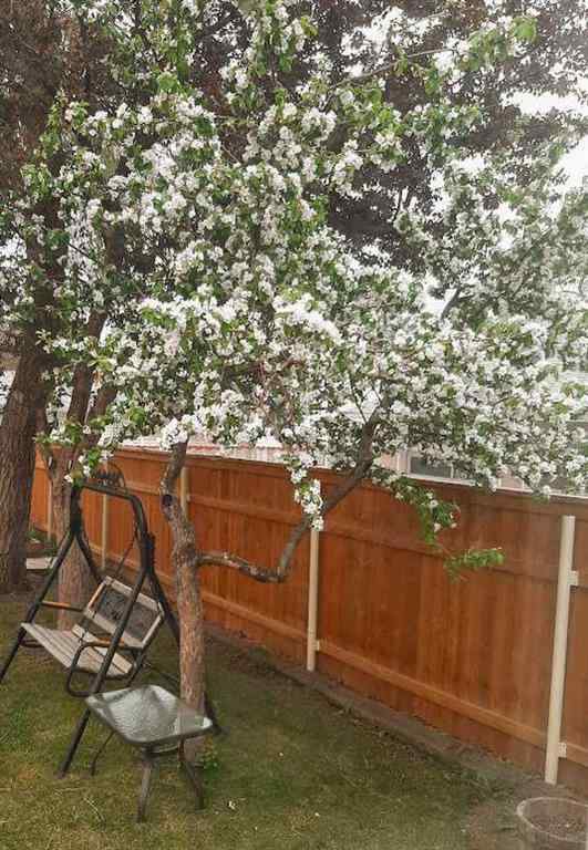 MLS® A2256149 - 1989 Cottonwood Crescent SE in Southview Calgary, Residential