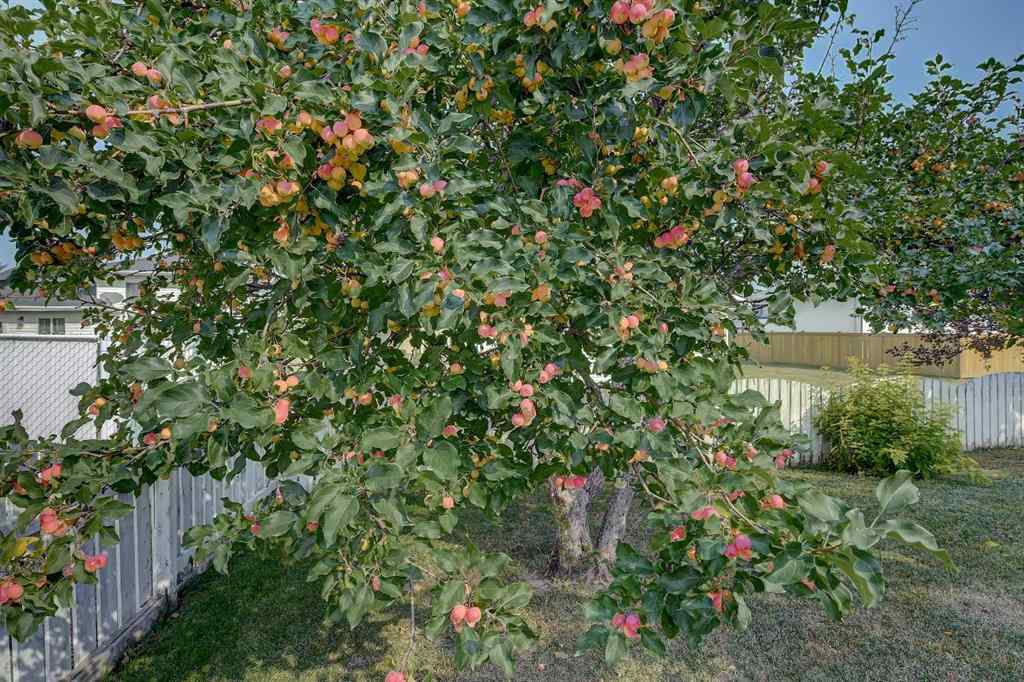 MLS® A2256177 - 9762 71 Avenue  in South Patterson Place Grande Prairie, Residential