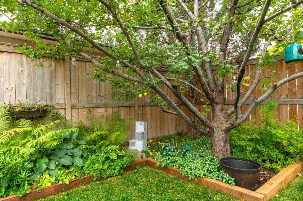 MLS® A2256190 - 9919 Walrond Road SE in Willow Park Calgary, Residential
