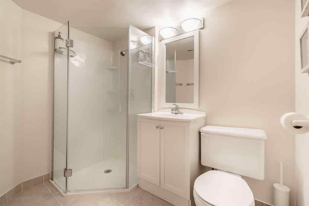 MLS® A2256228 - 1015 32 Avenue NW in Cambrian Heights Calgary, Residential