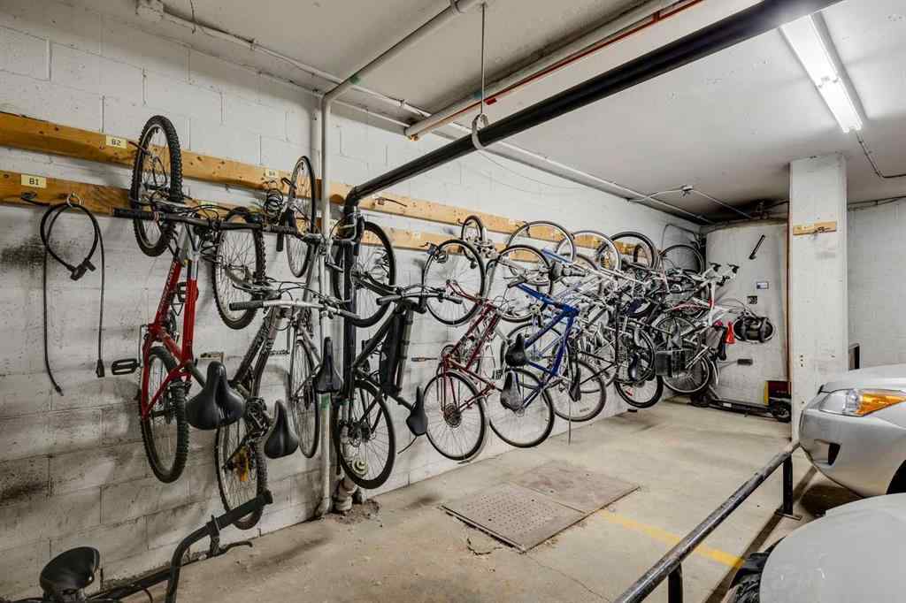 MLS® A2256244 - Unit #408 3316 Rideau Place SW in Rideau Park Calgary, Residential