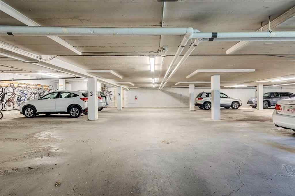 MLS® A2256244 - Unit #408 3316 Rideau Place SW in Rideau Park Calgary, Residential