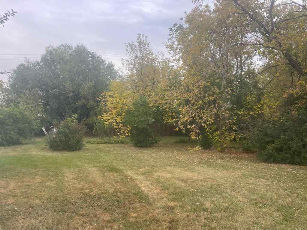 MLS® A2256347 - 702 3 Avenue  in NONE Bassano, Residential