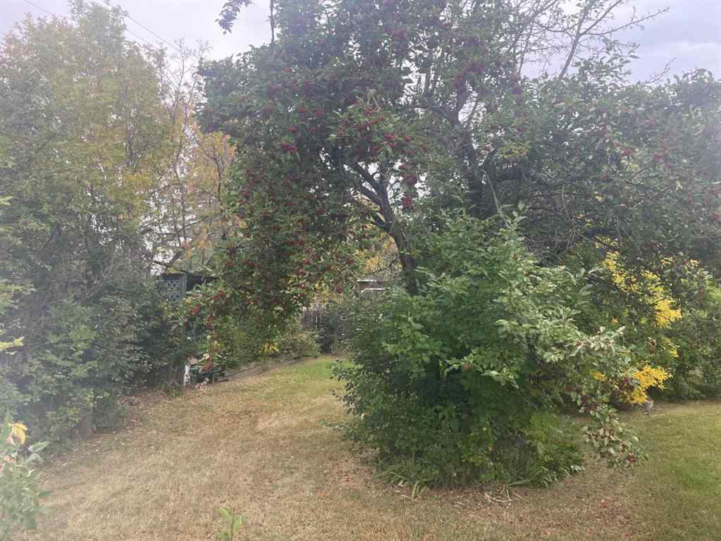 MLS® A2256347 - 702 3 Avenue  in NONE Bassano, Residential
